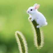 小文的旅行日记