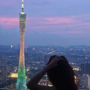 熊猫panda环游世界