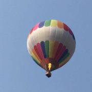 海登海姆秦穆公