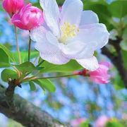 好梦成真旅游笔记