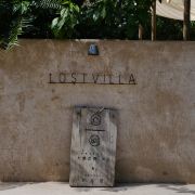 大乐之野中卫店主理人