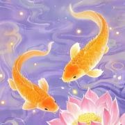 忙里偷闲的生活碎片🌈