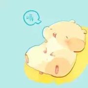 树袋熊嘻嘻嘻嘻