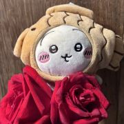 爱生活的考拉姐姐