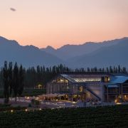 大乐之野夏多兰主理人