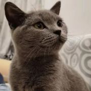 ღ往᭄ℒ后ℴѵ余ℯꦿ꯭生ღ