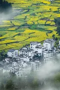 3-Day Wuyuan Tour: Stroll Through Blooming Fields, Embrace Romantic Moments