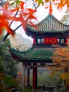3-Day Changsha Tour: Xiaoxiang's Scenic and Leisure Journey