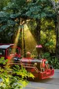 3-Day Guangzhou Family-Friendly Tour: Exploring Chimelong Safari Park and A Hundred Birds Singing