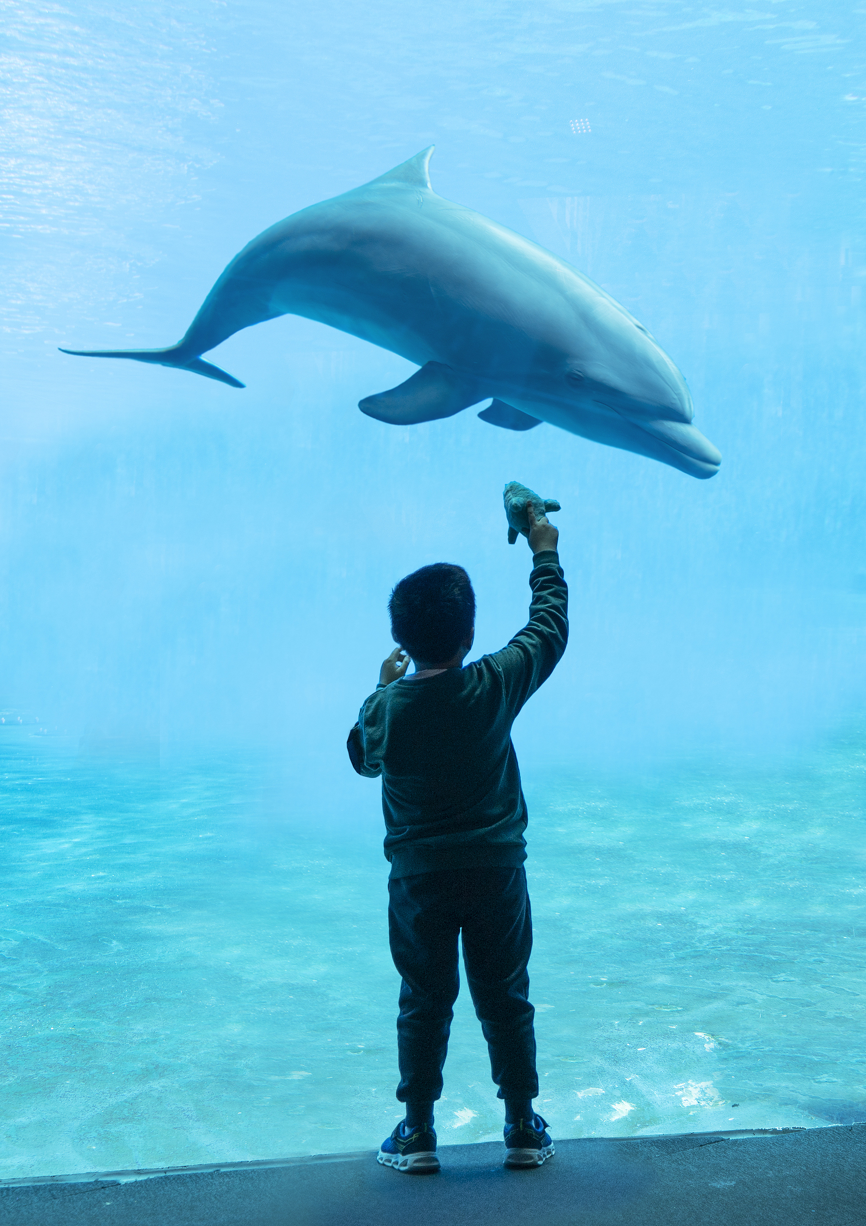 2-Day Hong Kong Family-Friendly Tour: Disneyland, Ocean Park Family Interaction