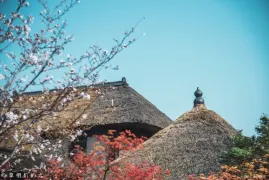 2-Day Wuxi Tour: Meditation and Enlightenment, Zen Smile