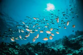 4-Day Qingdao Tour: Experience the Vast and Mysterious Ocean