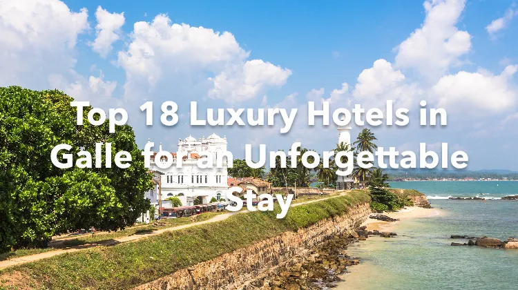 Top 18 Luxury Hotels in Galle for an Unforgettable Stay