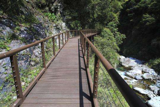 八仙山國家森林遊樂區