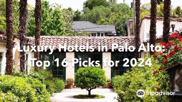Luxury Hotels in Palo Alto: Top 16 Picks for 2024