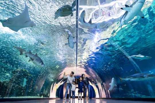 濟州島水族館