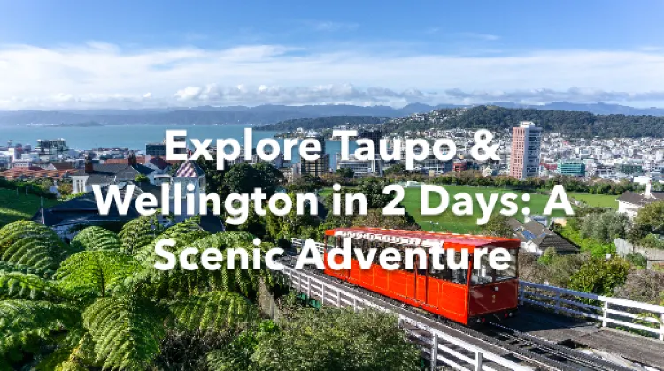 Taupo Wellington 2 Days Itinerary