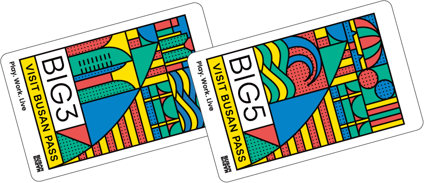 Visit Busan Pass 2