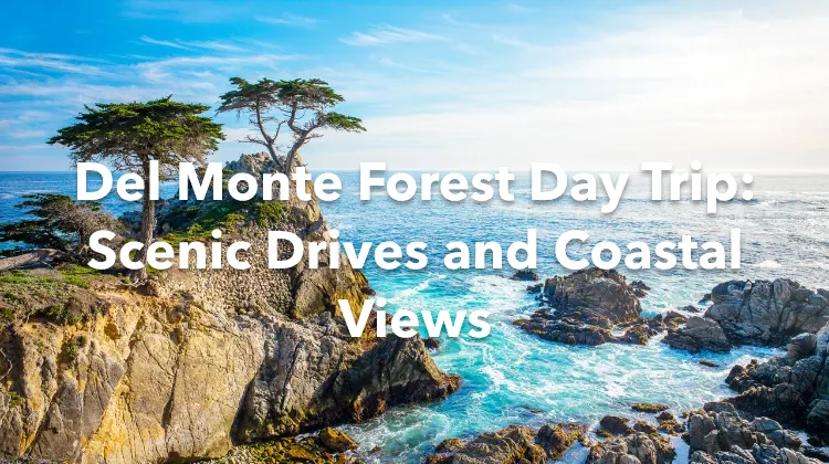 Del Monte Forest 1 Day Itinerary