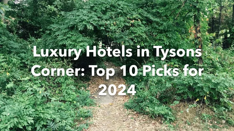 Luxury Hotels in Tysons Corner: Top 10 Picks for 2024