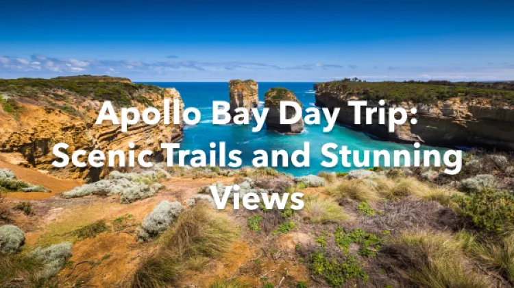 Apollo Bay 1 Day Itinerary