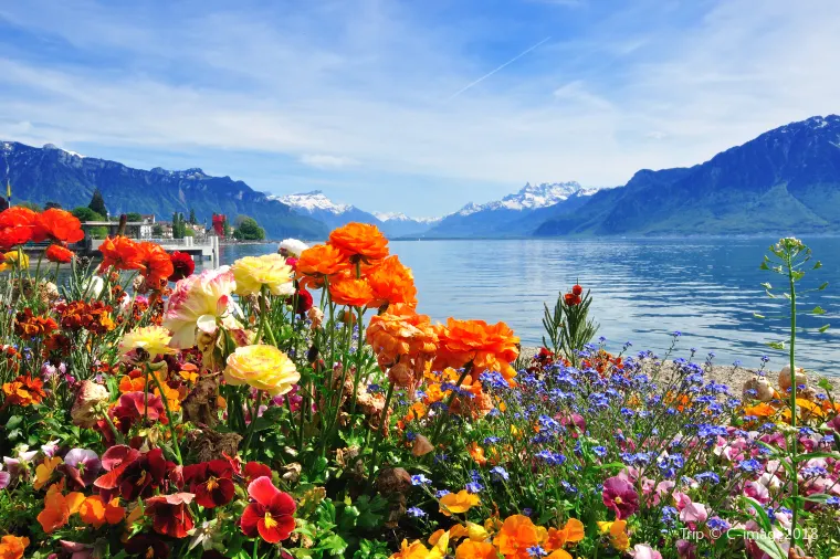 Lake Geneva