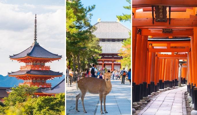 Kyoto & Nara 1 Day Tour: Top 5 Nara Attractions: Hours & Access