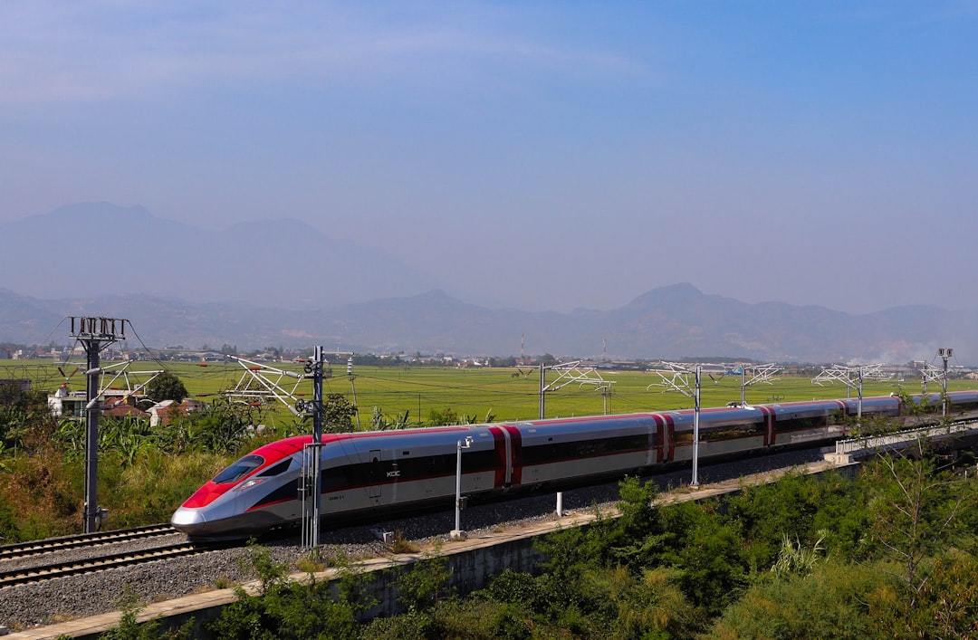 Booking Train Tickets for Foreigners through Trip.com vs. 12306
