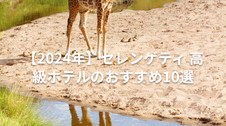 【2024年】セレンゲティ 高級ホテルのおすすめ10選