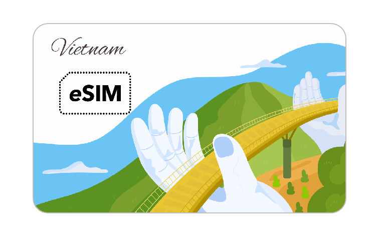 Comparison: Vietnam eSIM, SIM Card, and Wi-Fi Rental
