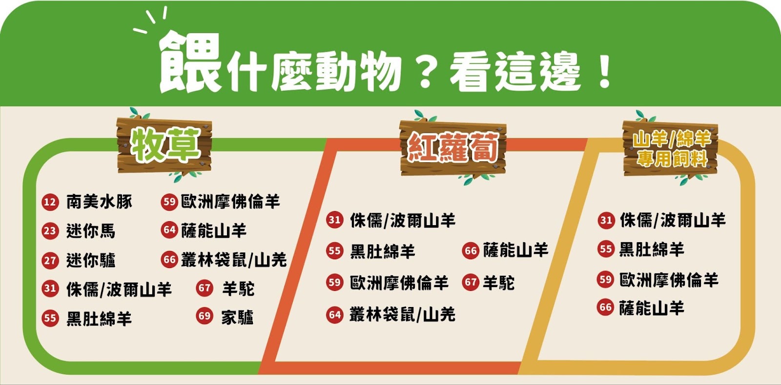 頑皮世界動物餵食體驗