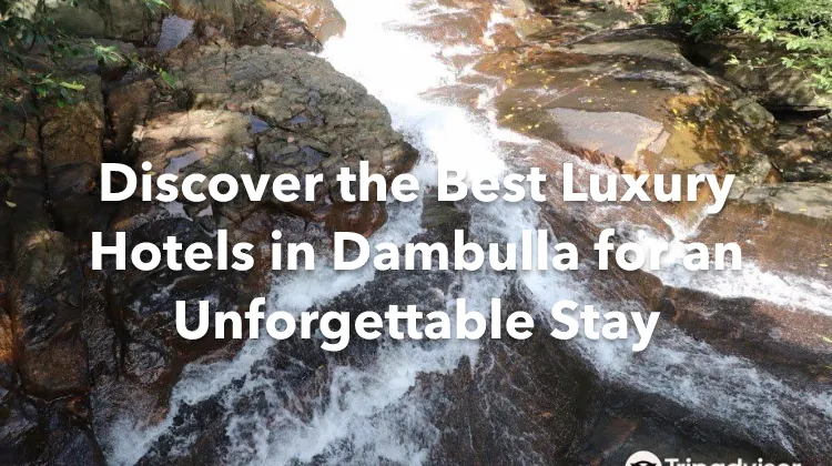 Discover the Best Luxury Hotels in Dambulla for an Unforgettable Stay