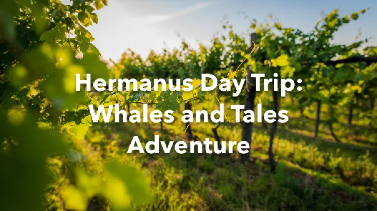 Hermanus 1 Day Itinerary