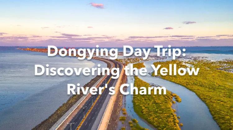 Dongying 1 Day Itinerary