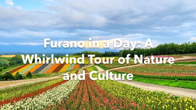 Furano 1 Day Itinerary
