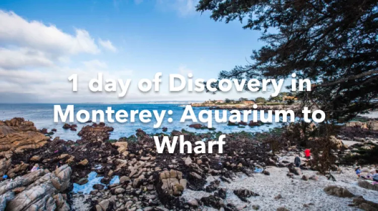 Monterey 1 Day Itinerary