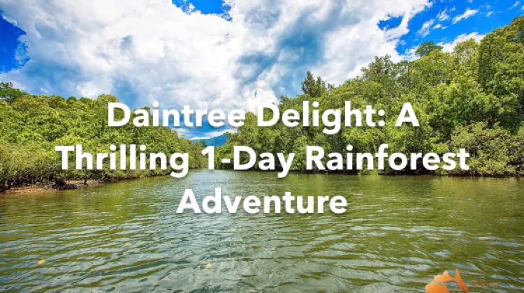 Daintree 1 Day Itinerary