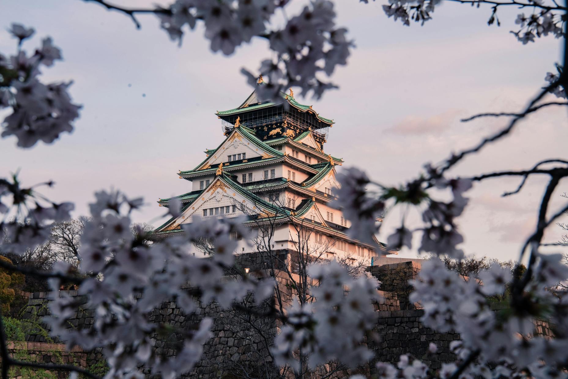 бело зеленый замок осаки Via Pexels (by Satoshi Hirayama)