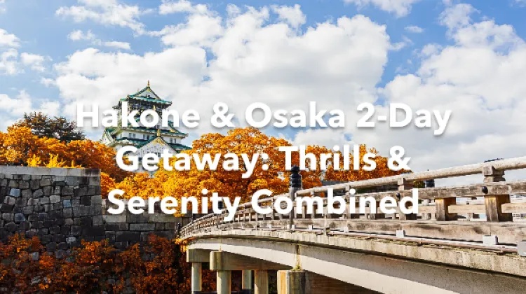 Hakone Osaka 2 Days Itinerary
