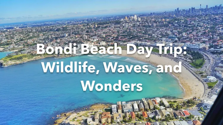 Bondi Beach 1 Day Itinerary