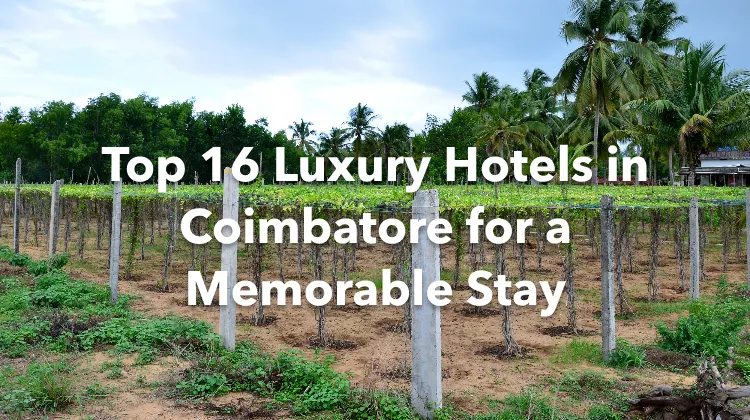 Top 16 Luxury Hotels in Coimbatore for a Memorable Stay