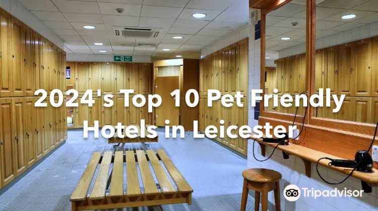 2024's Top 10 Pet Friendly Hotels in Leicester