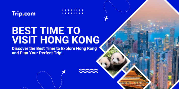 Best Time to Visit Hong Kong