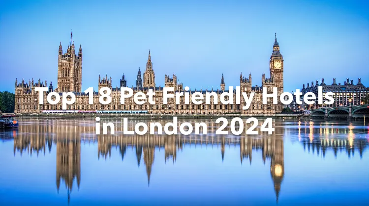 Top 18 Pet Friendly Hotels in London 2024