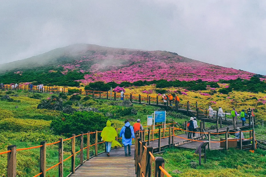 濟州島景點 漢拏山國家公園