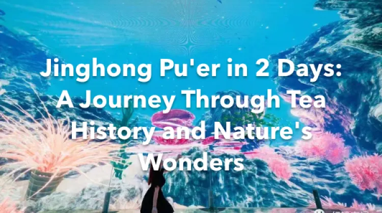 Jinghong Pu'er 2 Days Itinerary