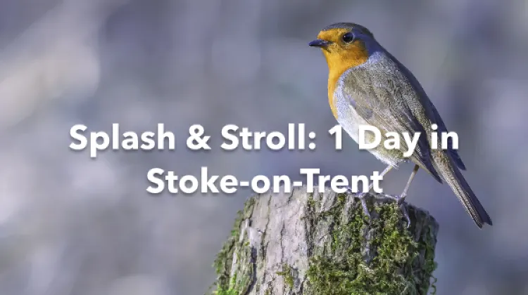 Stoke-on-Trent 1 Day Itinerary