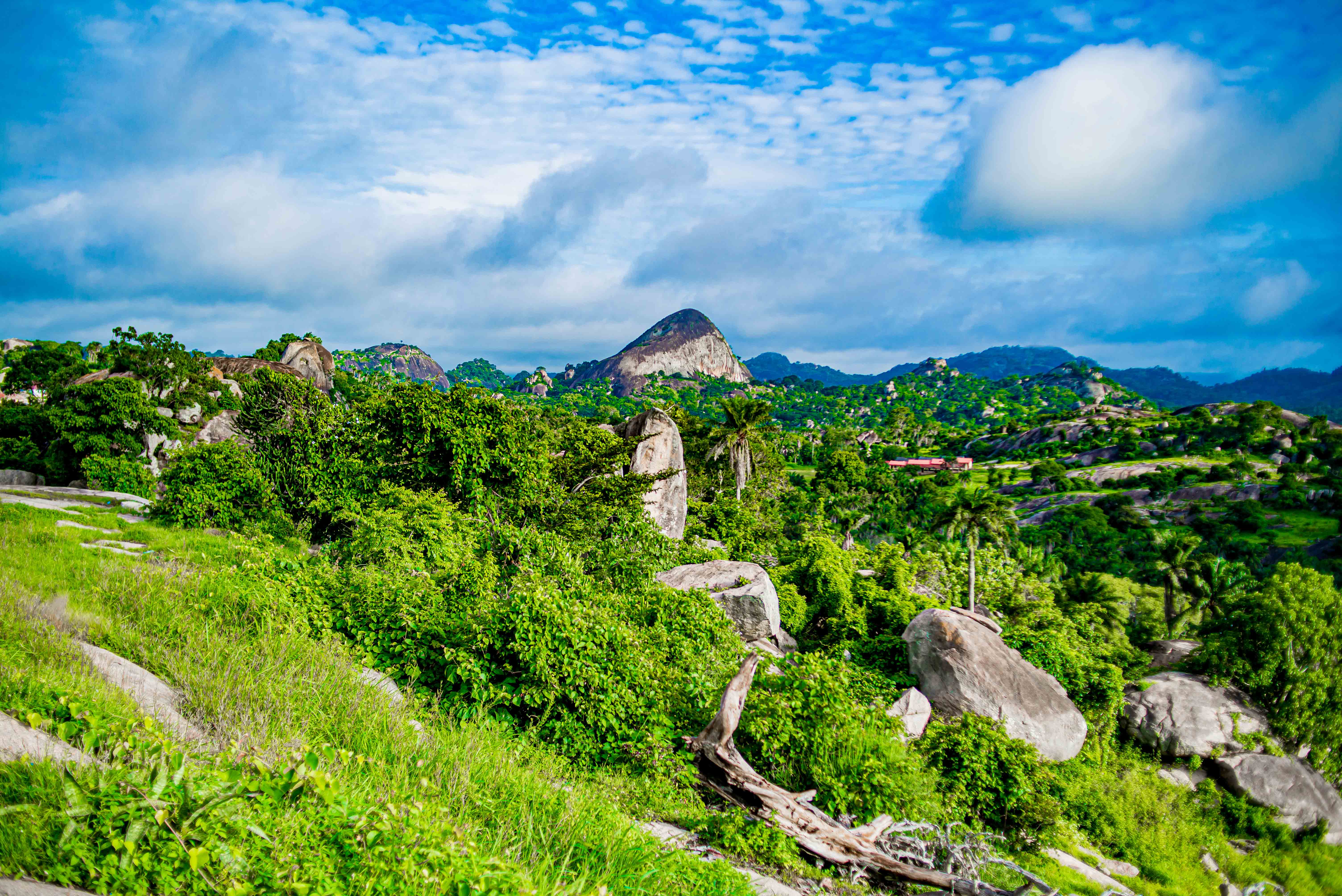 Ososo Hills near Ekpoma