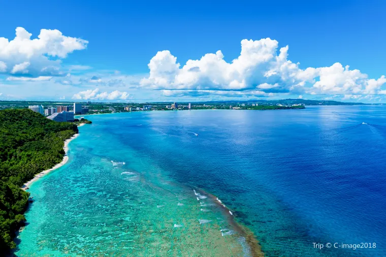 ランキング8位｜オーストラリア