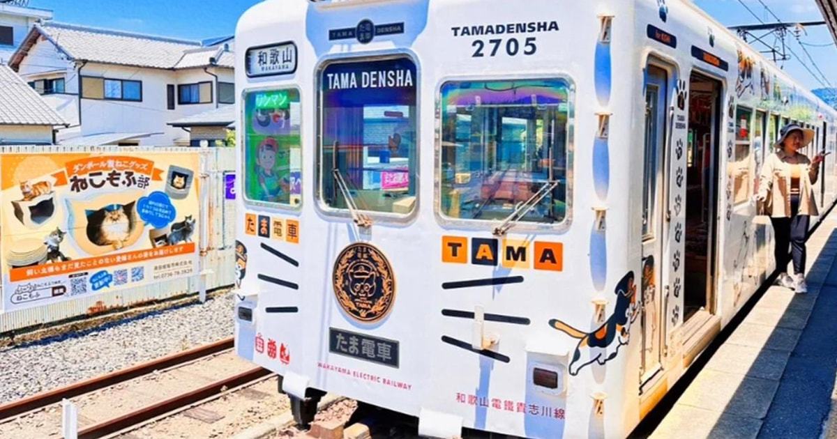 Osaka: Wakayama Cat Train, Seafood market, Hot Springs Tour ...